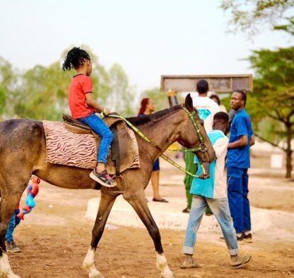 PHOTO-2024-12-18-01-09-24 4